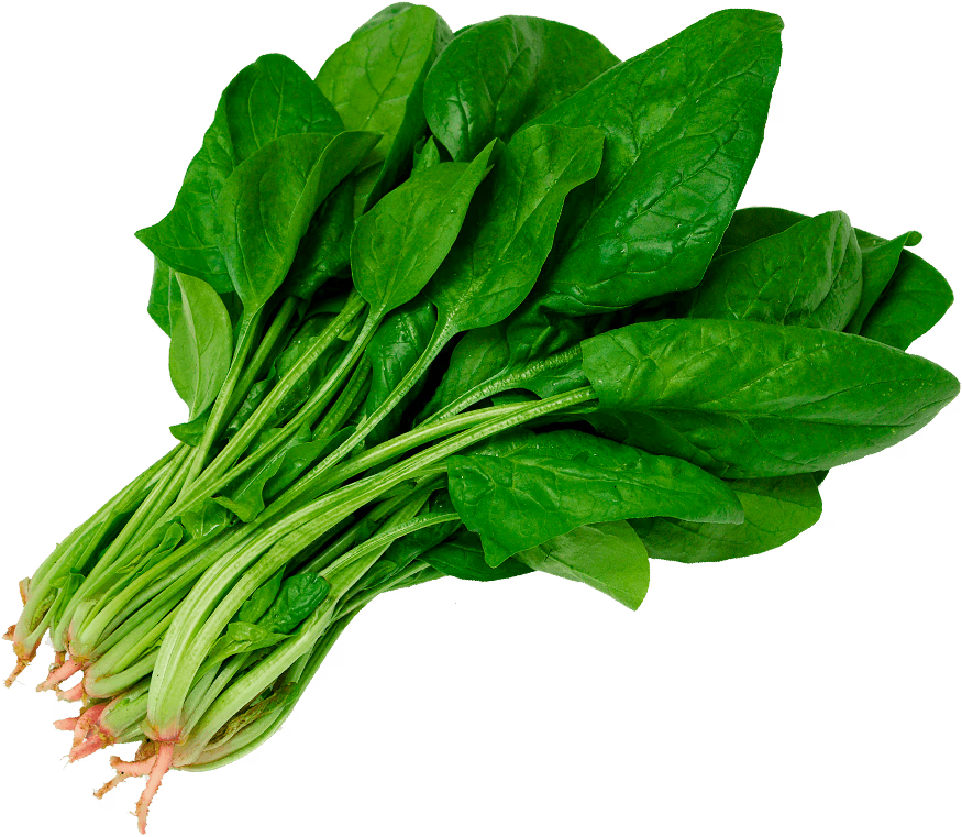 Espinaca