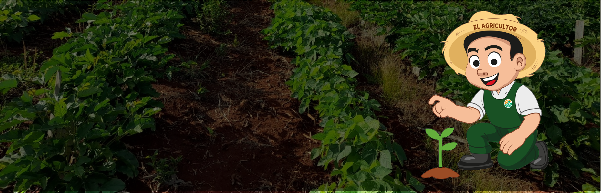 Grupo Agricultor Peru Productos