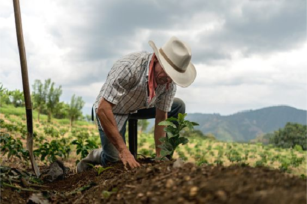 Equipo Grupo Agricultor Peru en el mercado